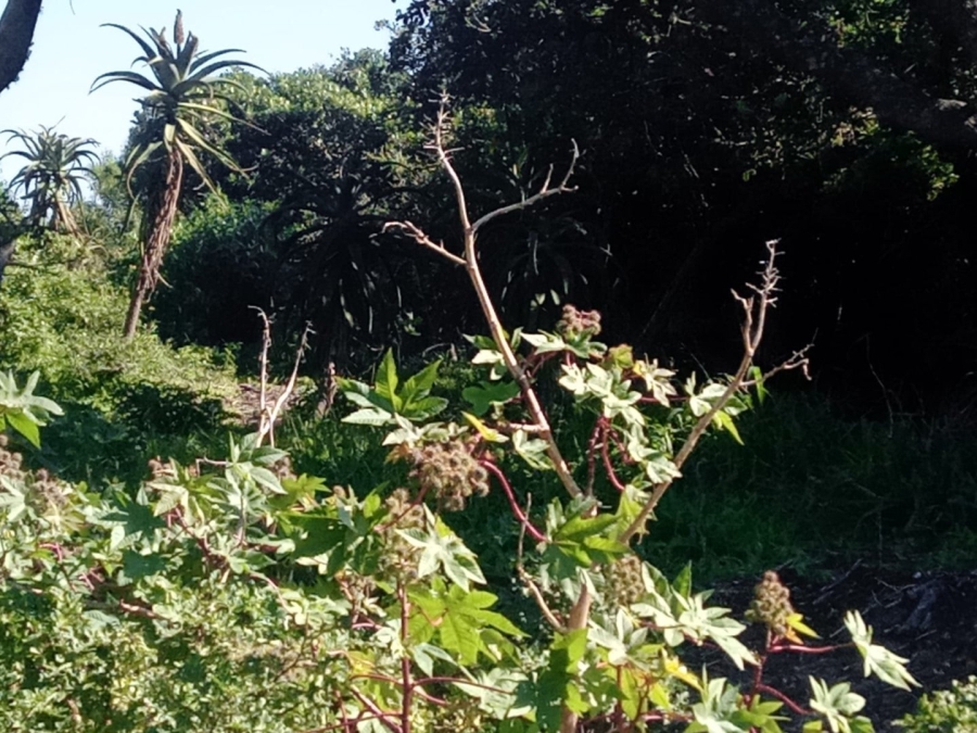 Commercial Property for Sale in Paradise Beach Eastern Cape